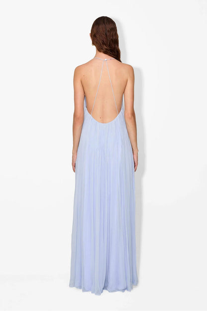 Hydrangea Haydin Maxi Dress